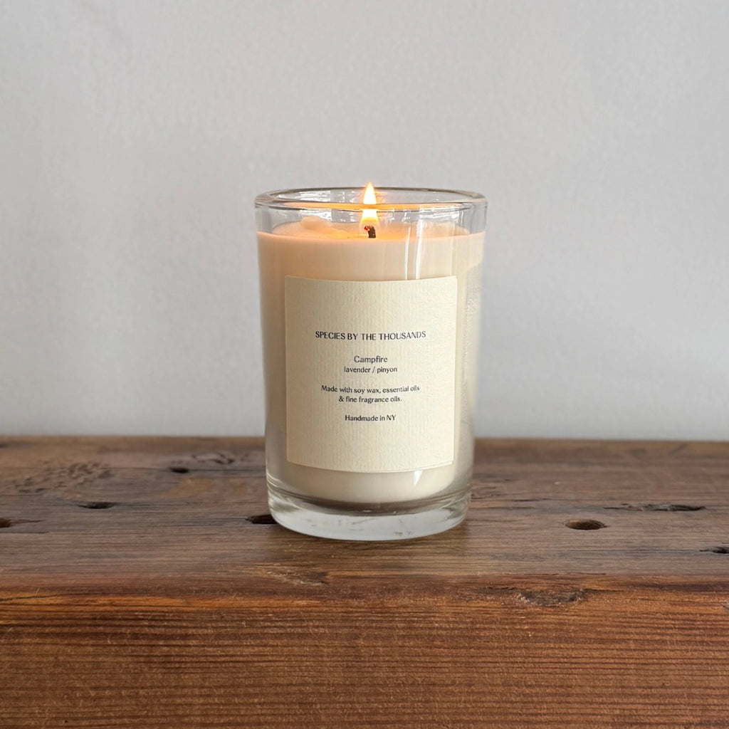 Species by the Thousand Soy Wax Candles