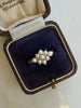10K Gold & Cluster Pearl Ring