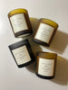 Soy Wax Candles | Species by the Thousand