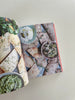 Recipes from Rome