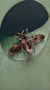 Winged Friend Brooch