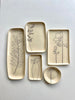 CSF Ceramics