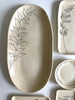 CSF Ceramics