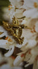 Hummingbird in Flight Brooch