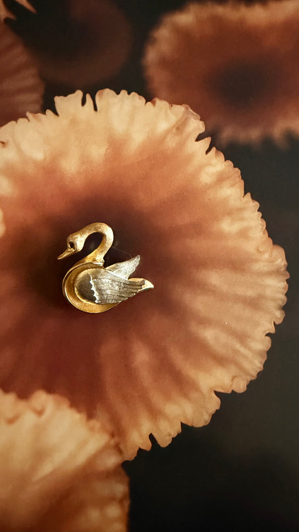 Lone Swan Brooch