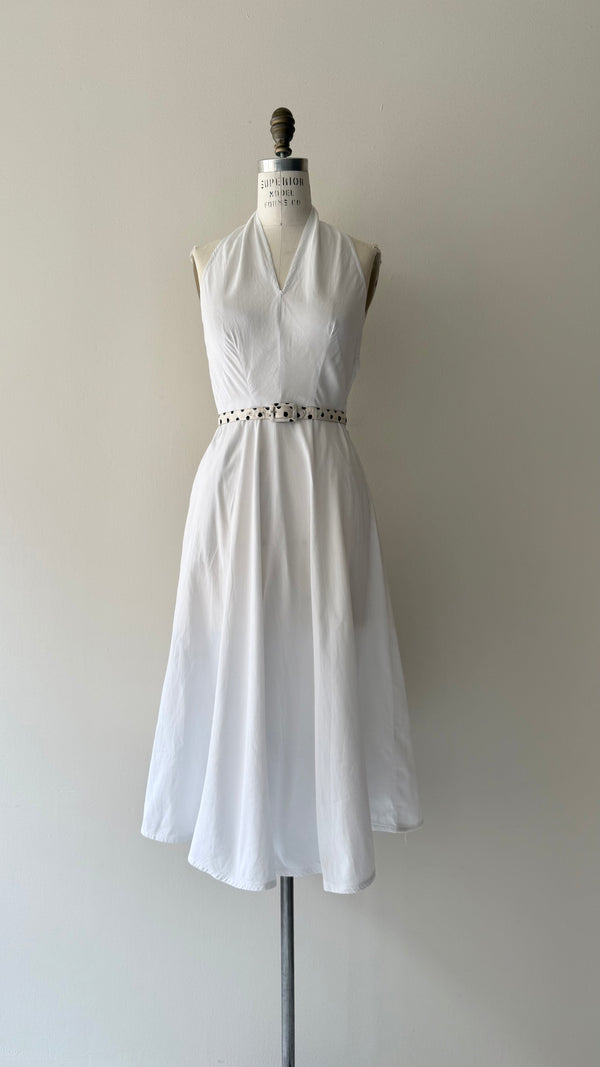 Drusilla Silk Velvet Dress