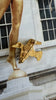 Golden Duck Brooch