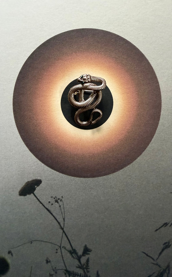 Coiled Snake Brooch