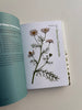 Herbal Handbook | 50 Profiles in Words and Art from the Rare Book Collections of The New York Botanical Garden