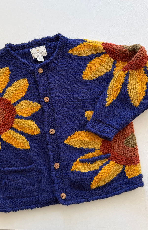 Express Amano Cardigan | 1990s