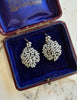 Queen Anne's Lace Cluster Earrings