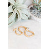 Ceramic Snakes | Small